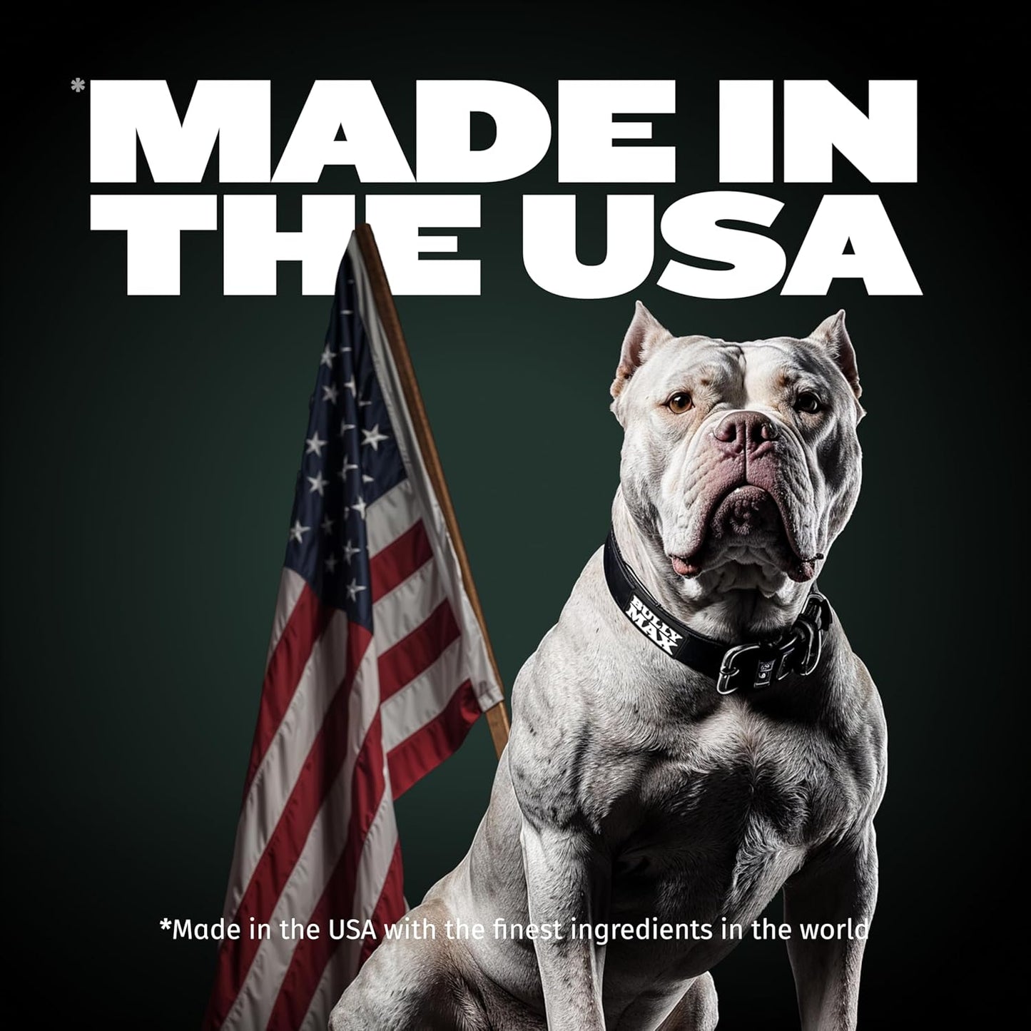 High Performance Premium Dry Dog Food for All Ages - High Protein Natural Puppy Food for Small & Large Breed Puppies & Adult Dogs, 15 Lb Bag.