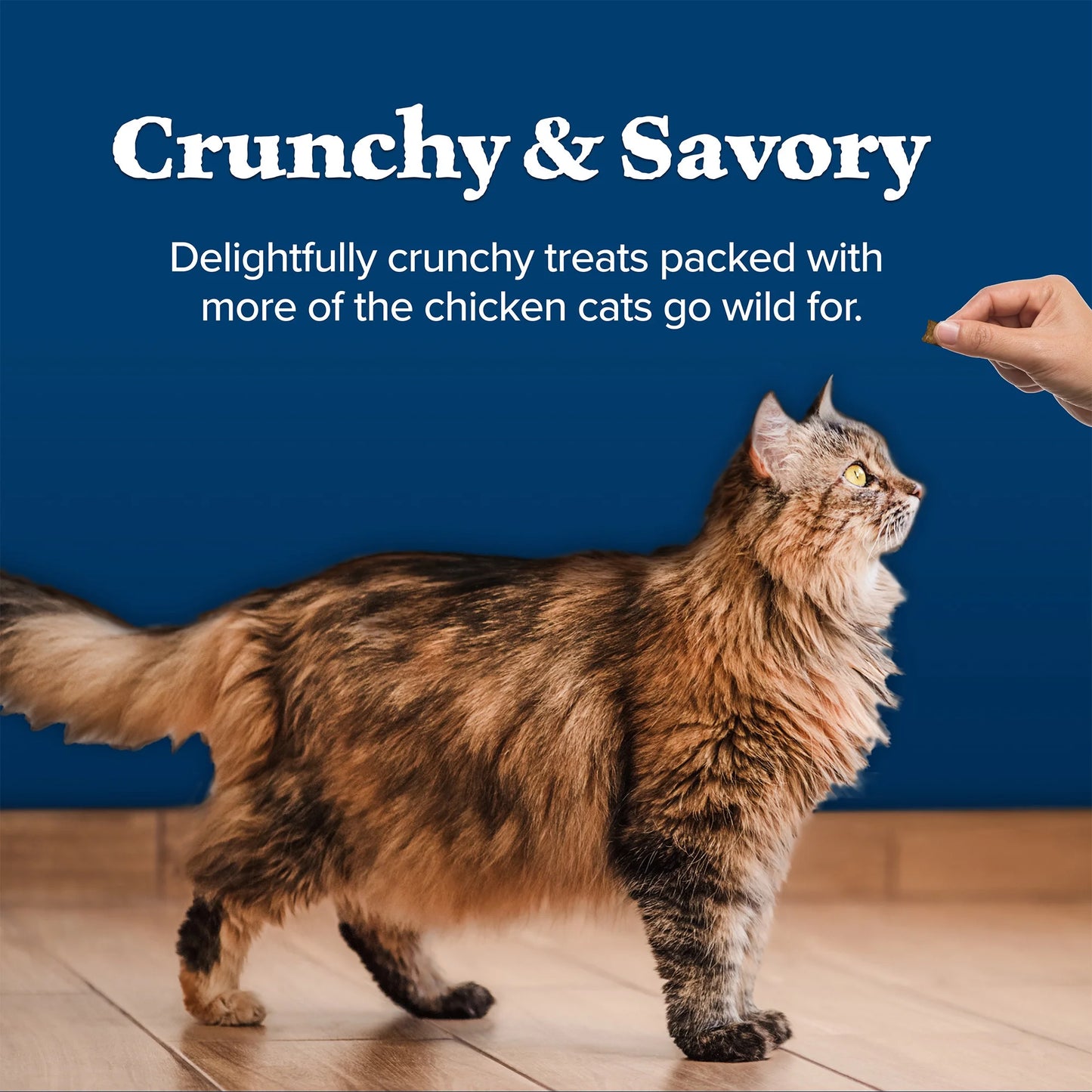 Wilderness Crunchy Dry Cat Treats, Natural & Grain-Free, Chicken, 12-Oz. Tub.