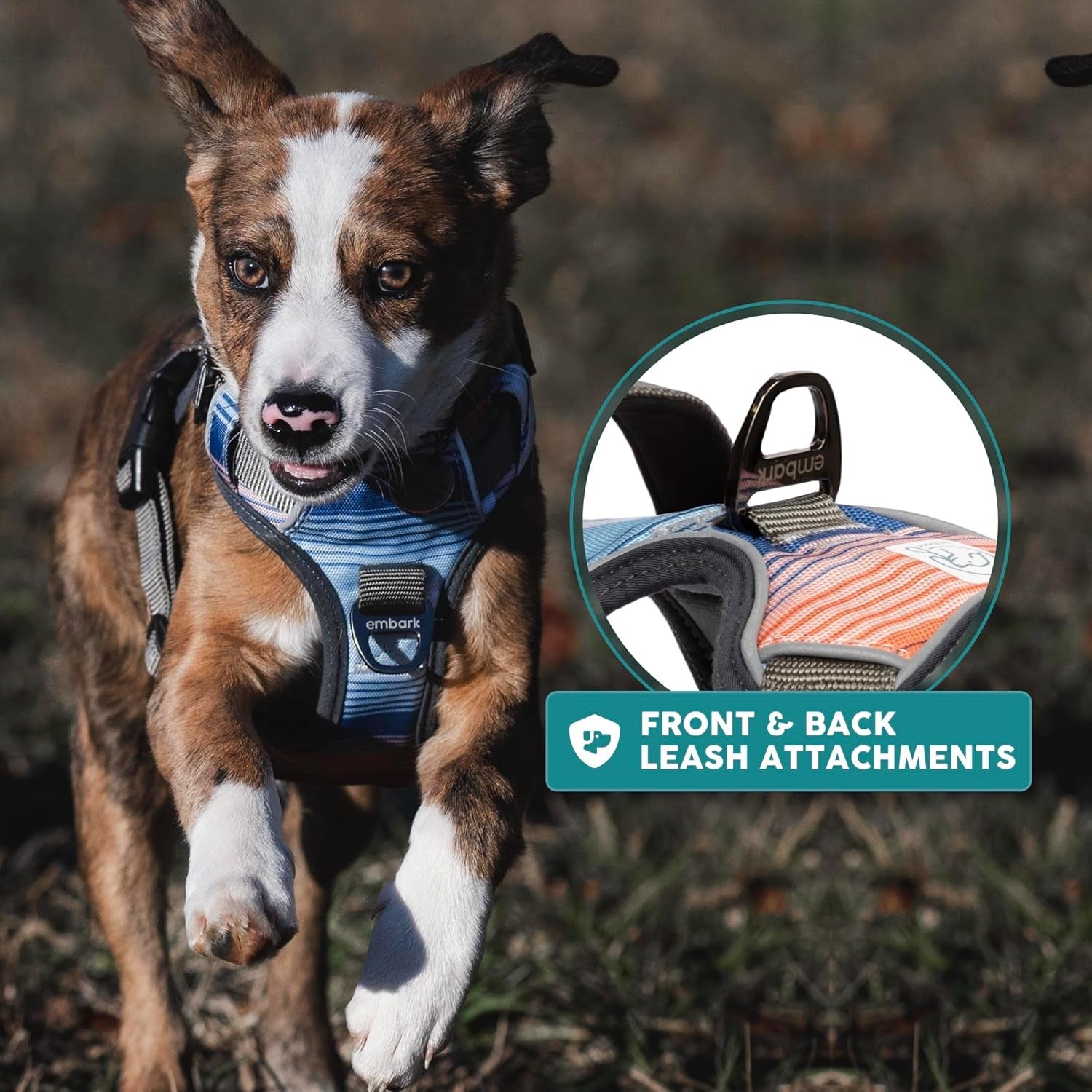 Embark Adventure Dog Harness, Reflective Trim No Pull Dog Harnesses for Small Sized Dogs - Military Grade Nylon, Front Clip with Gel Lined Handle..
