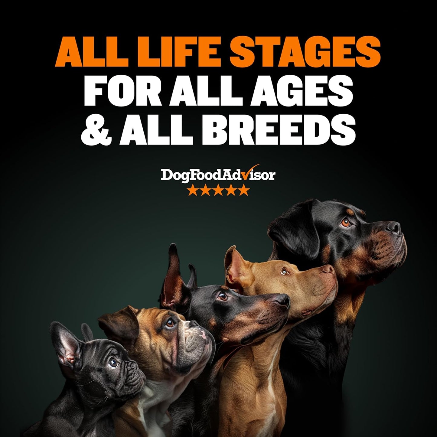 High Performance Premium Dry Dog Food for All Ages - High Protein Natural Puppy Food for Small & Large Breed Puppies & Adult Dogs, 15 Lb Bag.