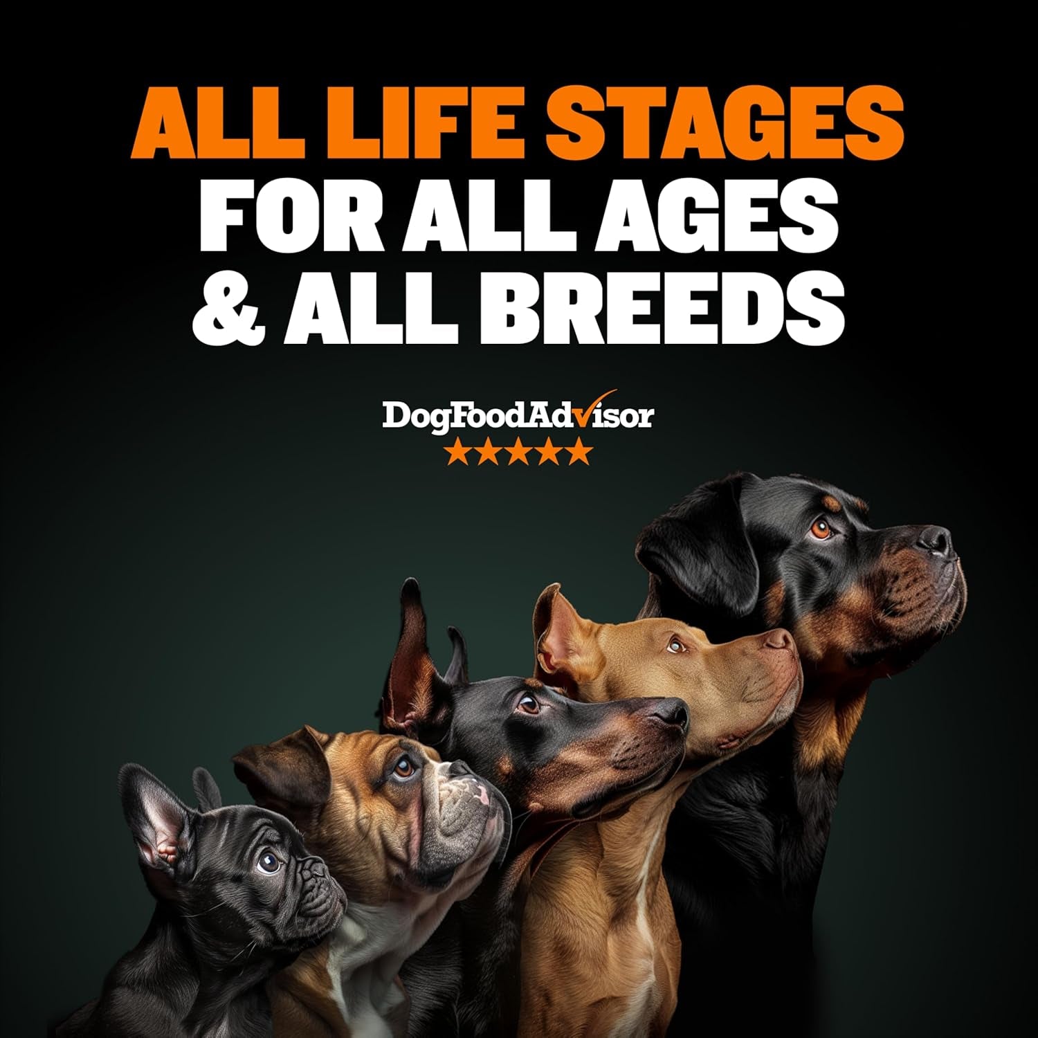 High Performance Premium Dry Dog Food for All Ages - High Protein Natural Puppy Food for Small & Large Breed Puppies & Adult Dogs, 15 Lb Bag.