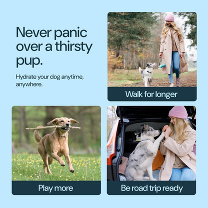 Leak Proof Portable Dog Travel Bottle with Bowl - 19 Oz, Blue - Portable Dog Water Bowl Dispenser - Food Grade Plastic - Pet Water Bottle.