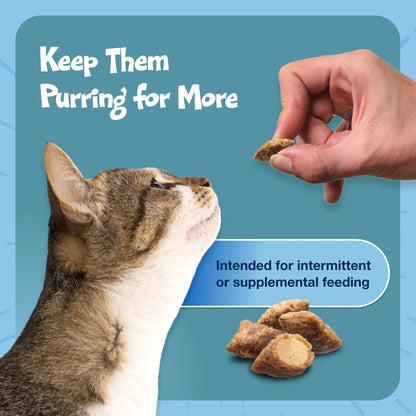 Bursts Crunchy & Creamy Cat Treats, Great for Training, Seafood, 12-Oz. Tub.