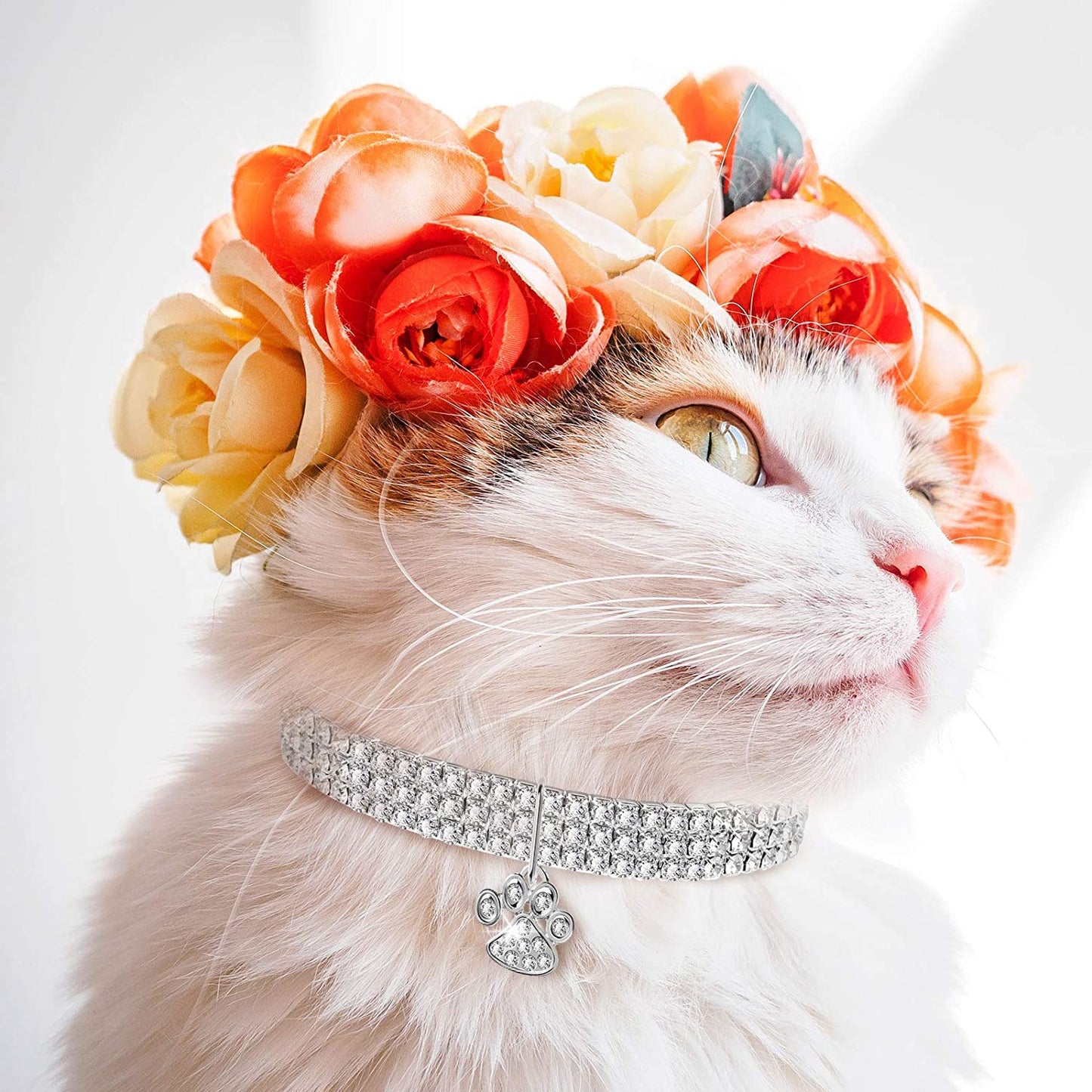 3 Pieces Bling Rhinestones Pet Collars Glitter Pendant Dog Collars Adjustable Crystal Cat Collar Elastic Pet Necklace for Small Pet Cat Dogs Puppy (White).