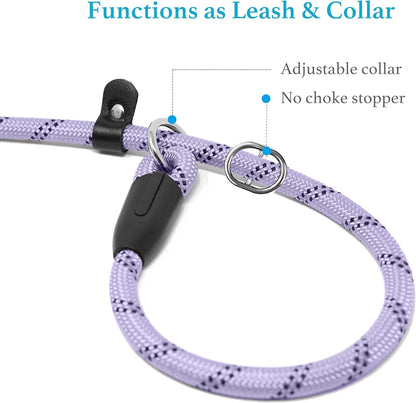 Durable Slip Lead Dog Leash with Padded Handle and Highly Reflective Threads, No Pull Dog Training Leash, (1/2" X 6 FT, Lavender).
