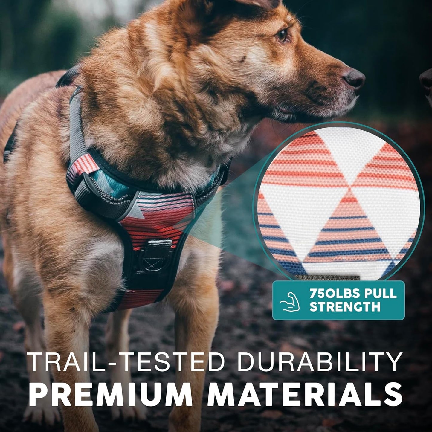 Embark Adventure Dog Harness, Reflective Trim No Pull Dog Harnesses for Small Sized Dogs - Military Grade Nylon, Front Clip with Gel Lined Handle..