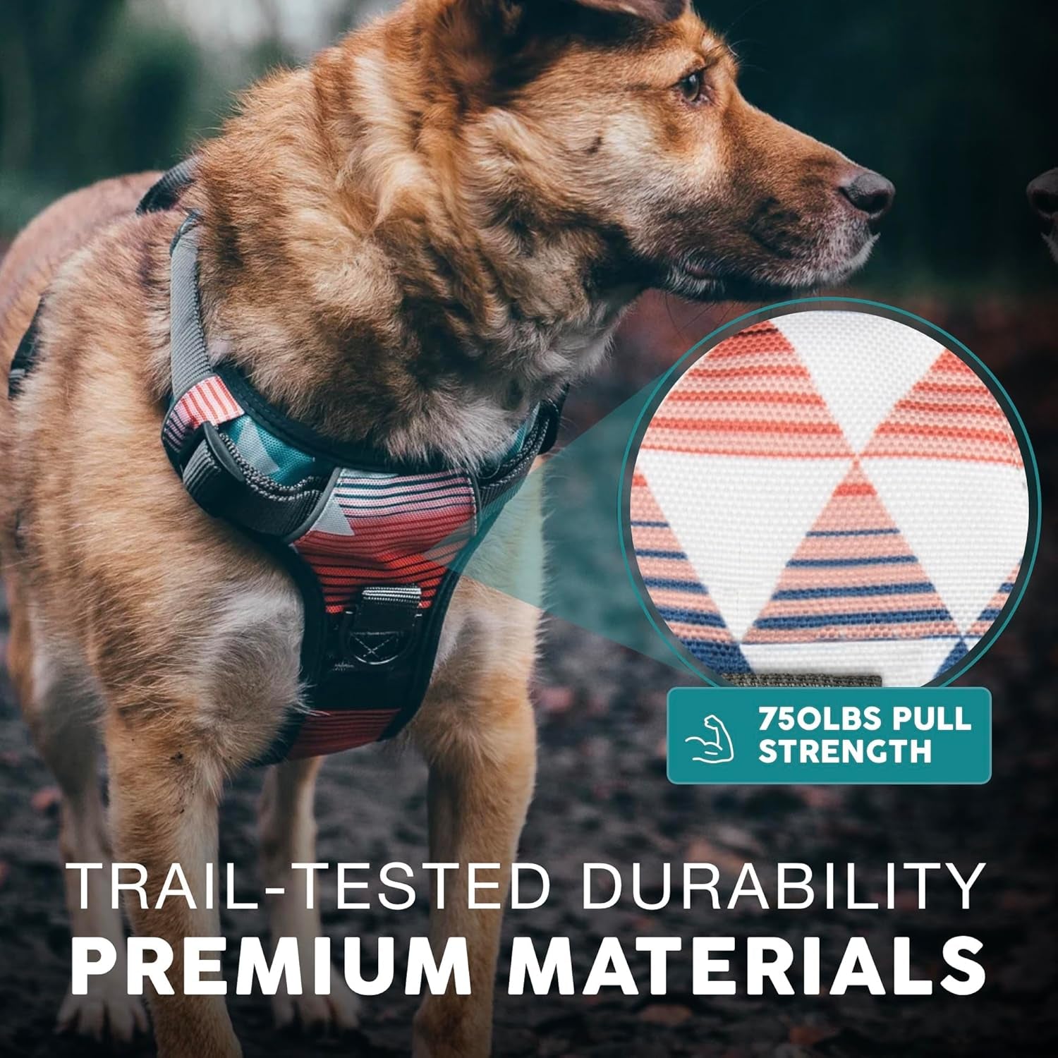 Embark Adventure Dog Harness, Reflective Trim No Pull Dog Harnesses for Small Sized Dogs - Military Grade Nylon, Front Clip with Gel Lined Handle..