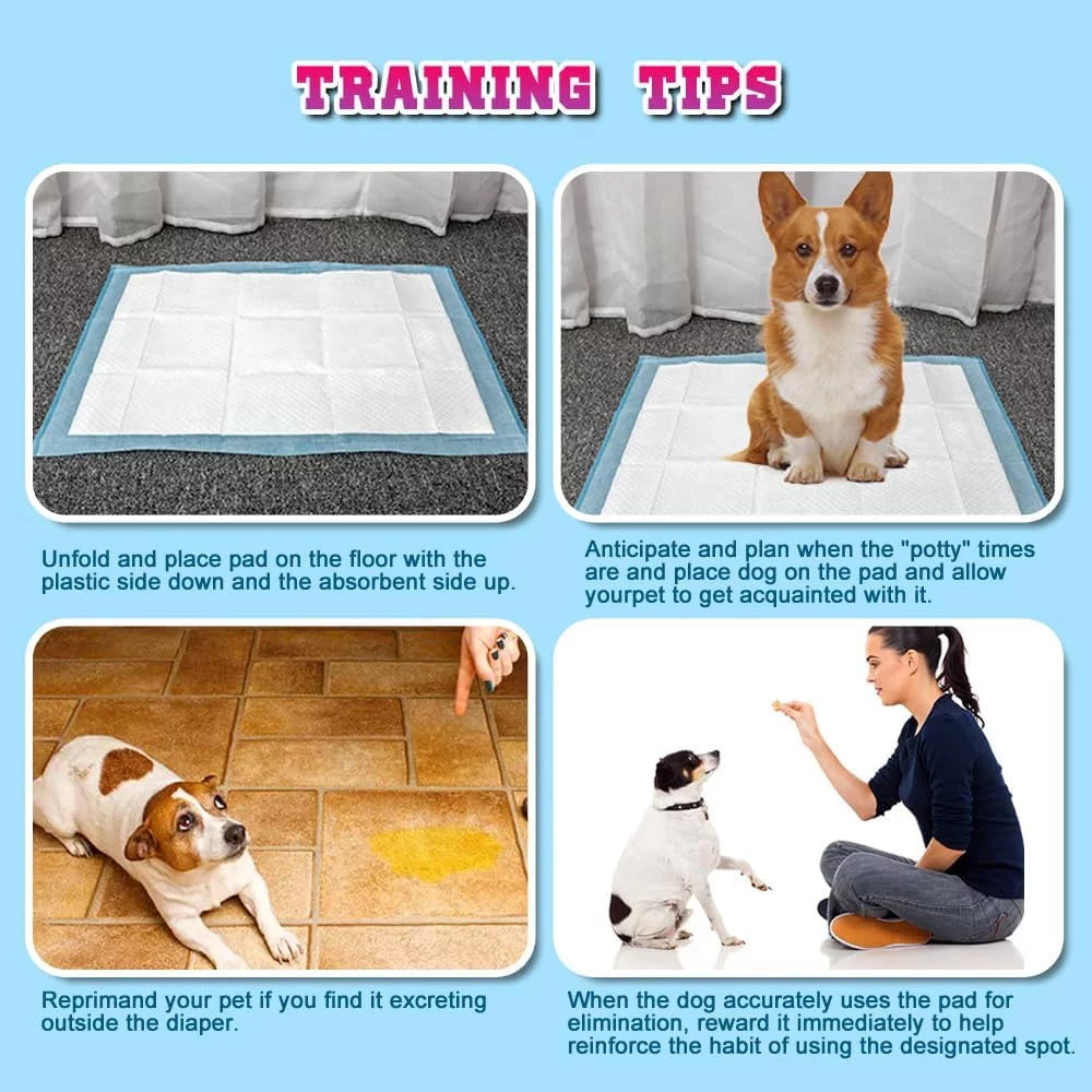 150 Count Medium ( M 30" X 36") Super Absorbent Dog and Puppy Training Pads, Pet Diaper Pee Pads.