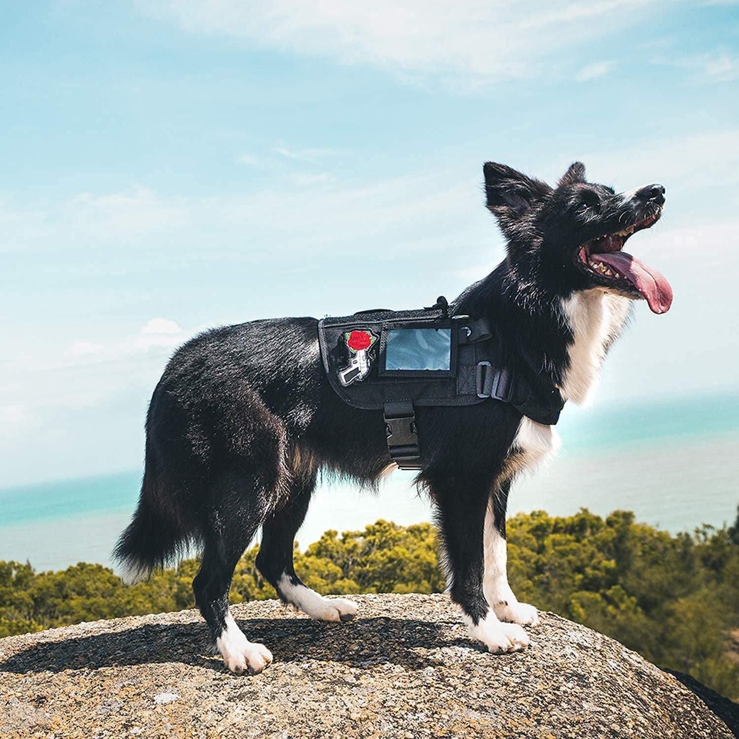 Service Dog Harness, Large Dog Harness Removable Neck Strap Compatible with Assistance Harness & Handle (Black, Short Version).