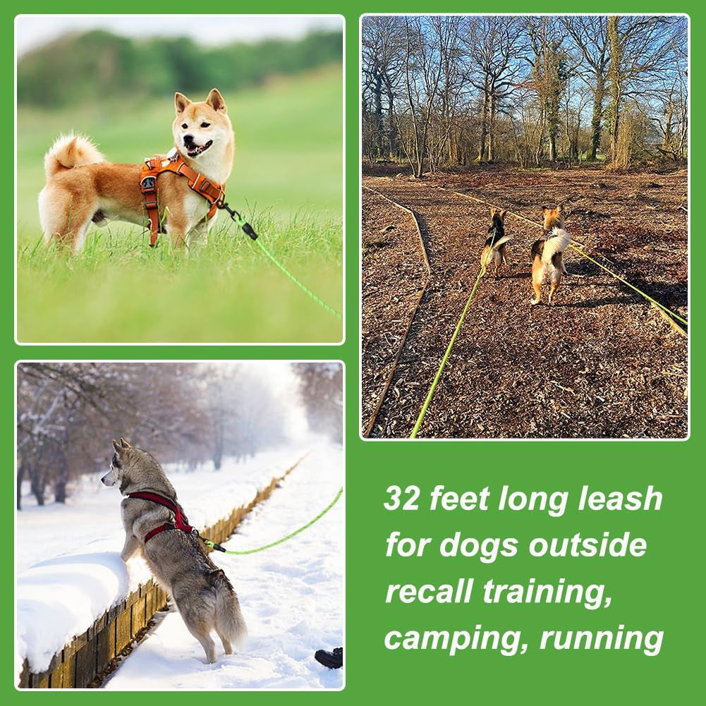 Floating Long Dog Leash, 32Ft Dog Training Leash for Swimming and Lake, Reflective Long Rope Lead with Soft Handle for Outside, Yard, Camping, Hiking and Beach (Green).