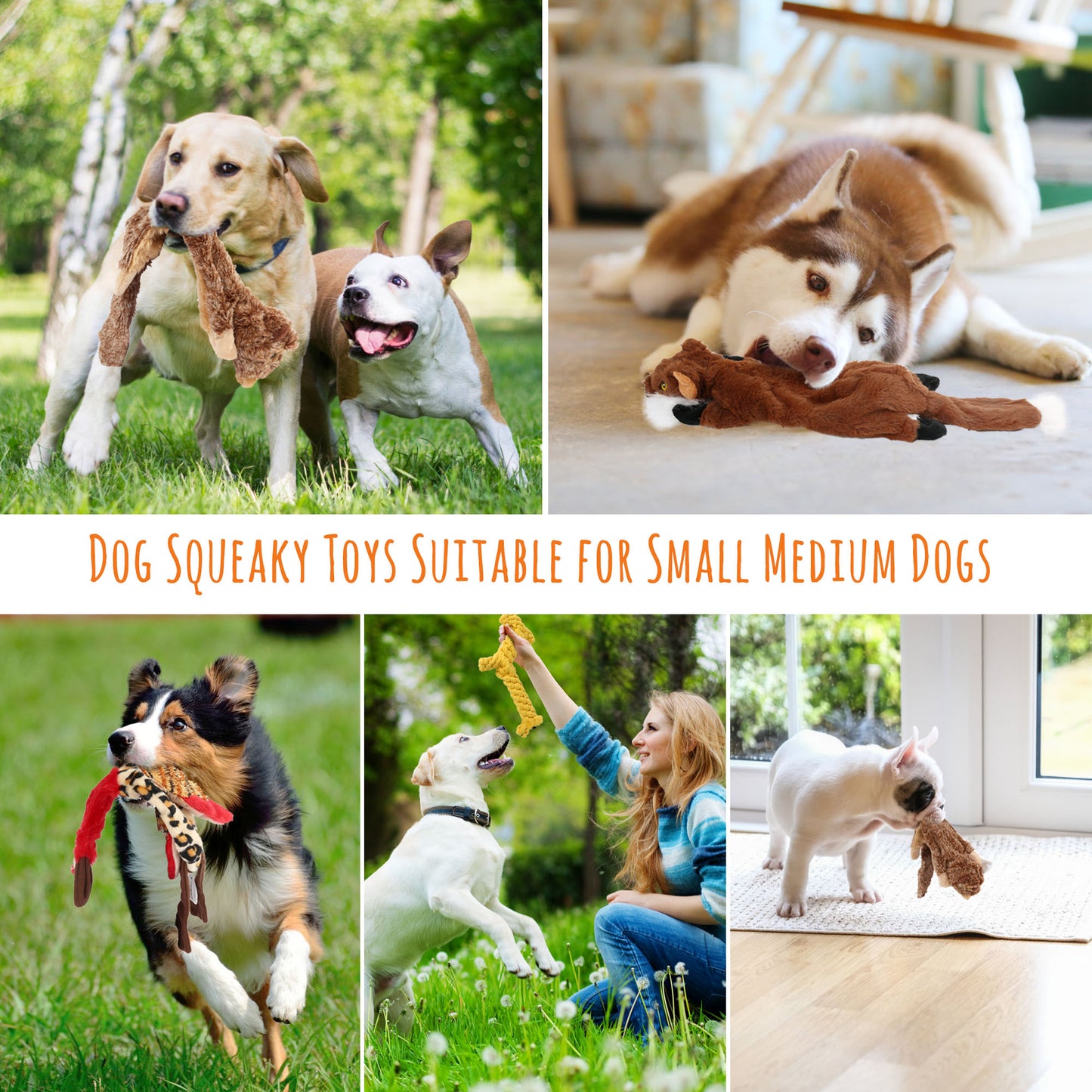 5 Dog Squeaky Toys for Small Dog, No Stuffing.