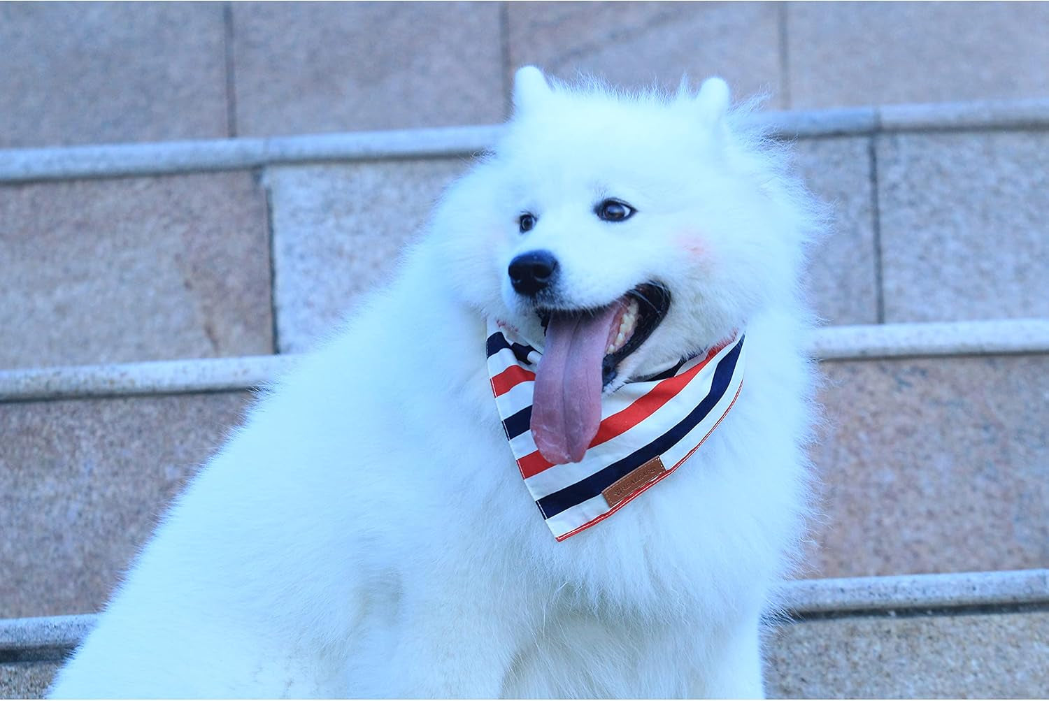 4Th of July Dog Bandanas 2 Pack, Reversible American Flag Pet Scarf for Boy and Girl, Premium Durable Fabric, Patriotic Bandana for Large and Extra Large Dogs (X-Large).