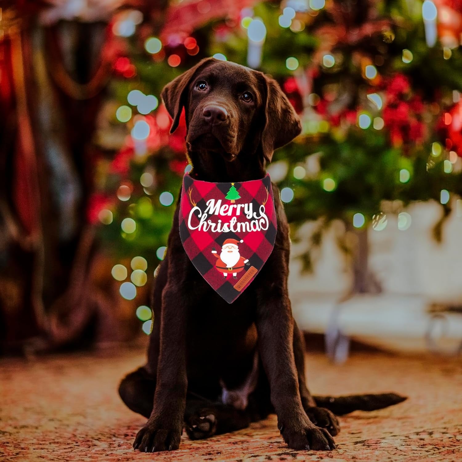 2 Pack Dog Bandana Christmas Classic Plaid Pet Scarf Triangle Bibs Kerchief Merry Christmas Santa Snowman Bandana for Medium Large Dogs Pets (Large).