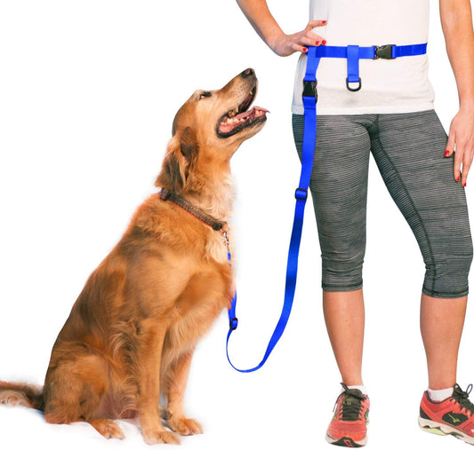 Hands Free Dog Leash, Adjustable Leash for Running, Jogging, Training and Service Dogs, Great for Small, Medium and Large Dogs, Made in USA (Royal Blue, Large Belt (27"- 50" Waist)).