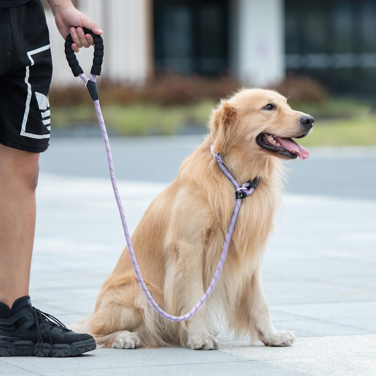 Durable Slip Lead Dog Leash with Padded Handle and Highly Reflective Threads, No Pull Dog Training Leash, (1/2" X 6 FT, Lavender).