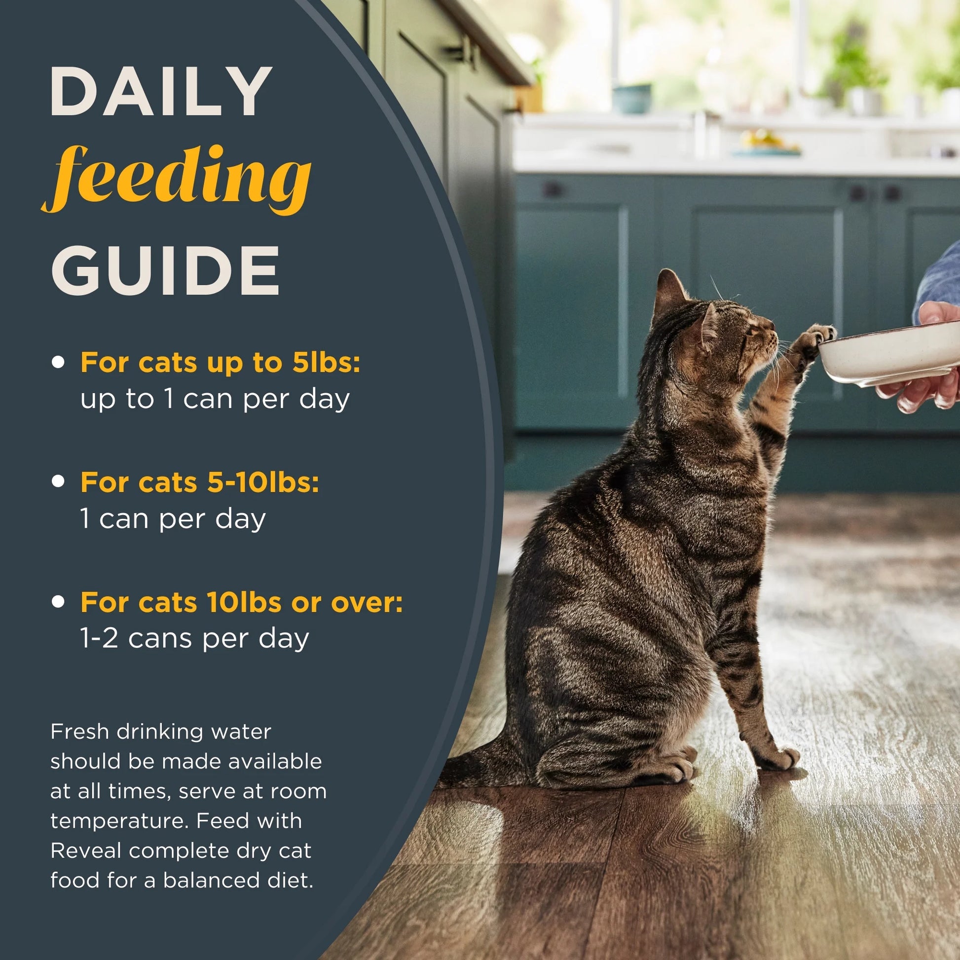 Reveal Natural Wet Cat Food, Fish & Chicken in Gravy Variety Pack, 12 X 2.47 Oz Cans.