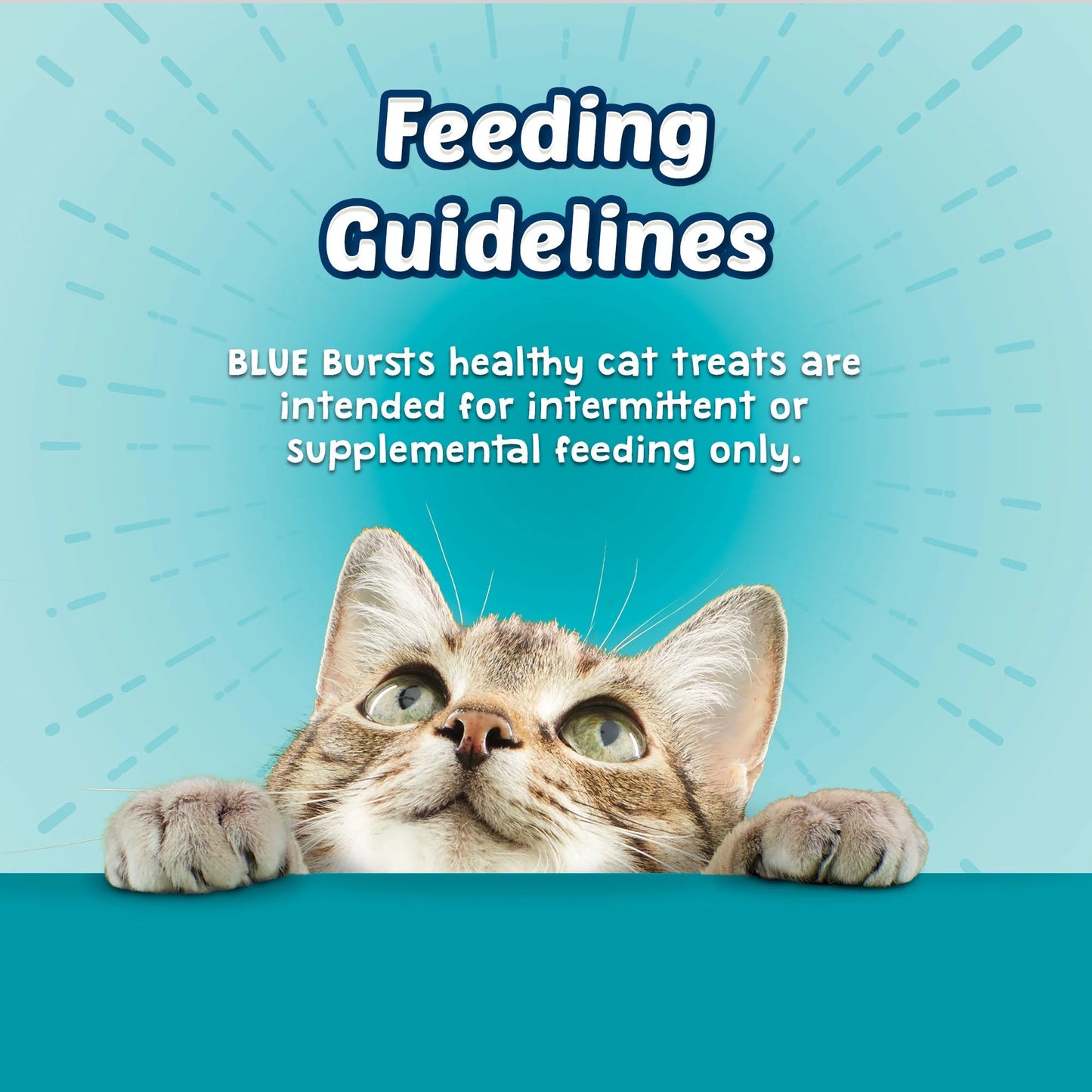 Bursts Crunchy & Creamy Cat Treats, Great for Training, Seafood, 12-Oz. Tub.
