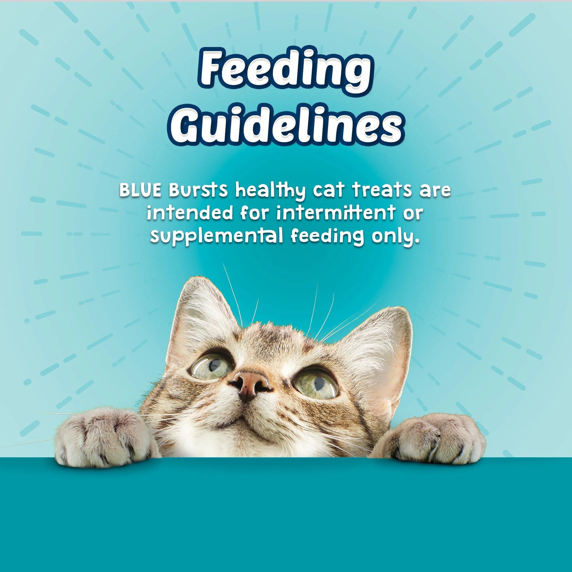 Bursts Crunchy & Creamy Cat Treats, Great for Training, Seafood, 12-Oz. Tub.