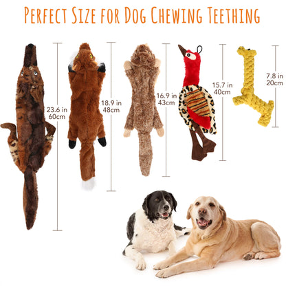 5 Dog Squeaky Toys for Small Dog, No Stuffing.