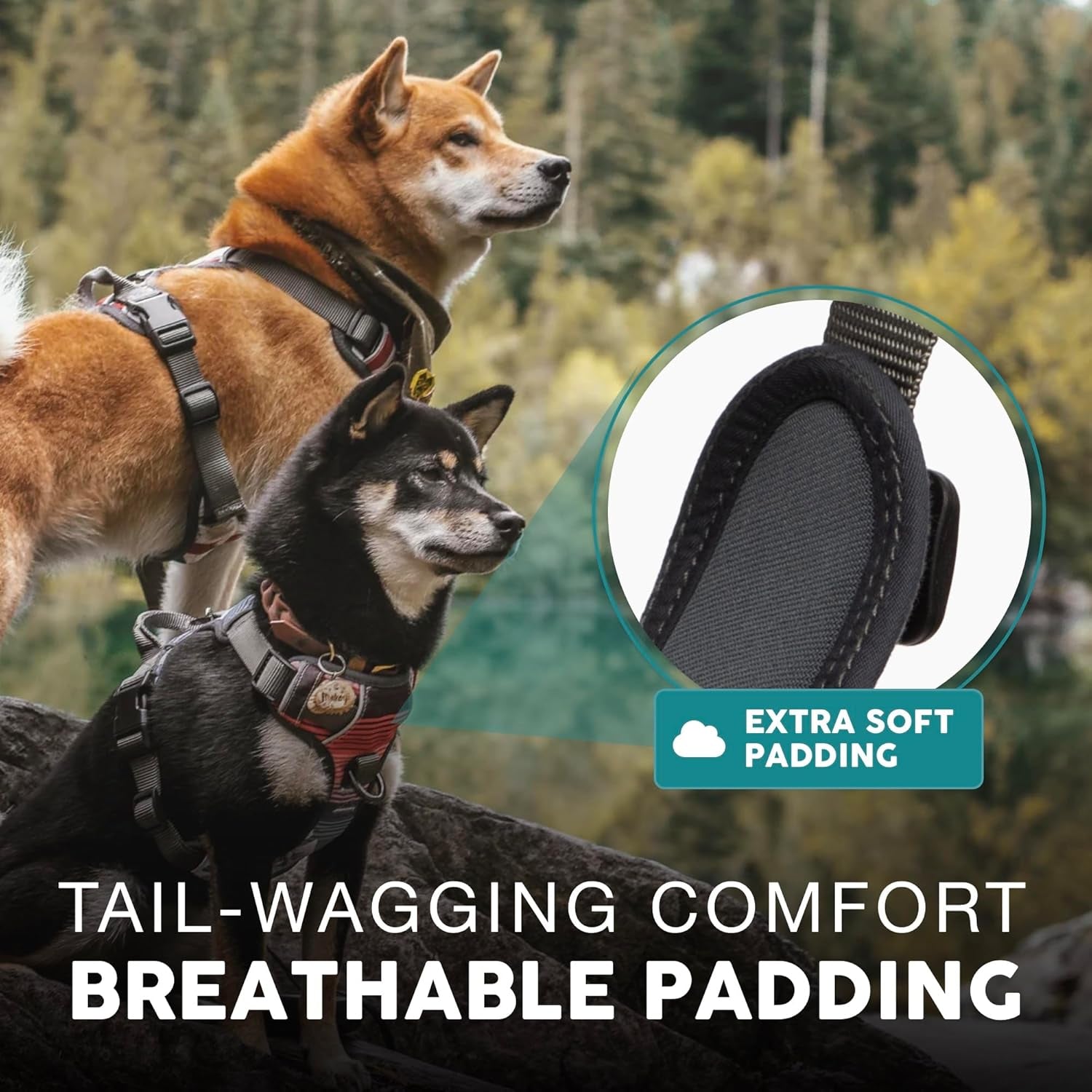 Embark Adventure Dog Harness, Reflective Trim No Pull Dog Harnesses for Small Sized Dogs - Military Grade Nylon, Front Clip with Gel Lined Handle..