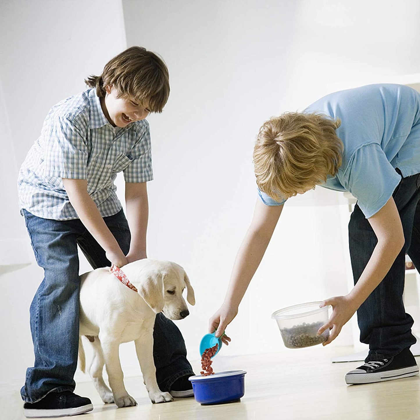 Dog Food Scoop Set of 4 - Plastic Measuring Cups for Dog, Cat and Bird Food (Random Color).