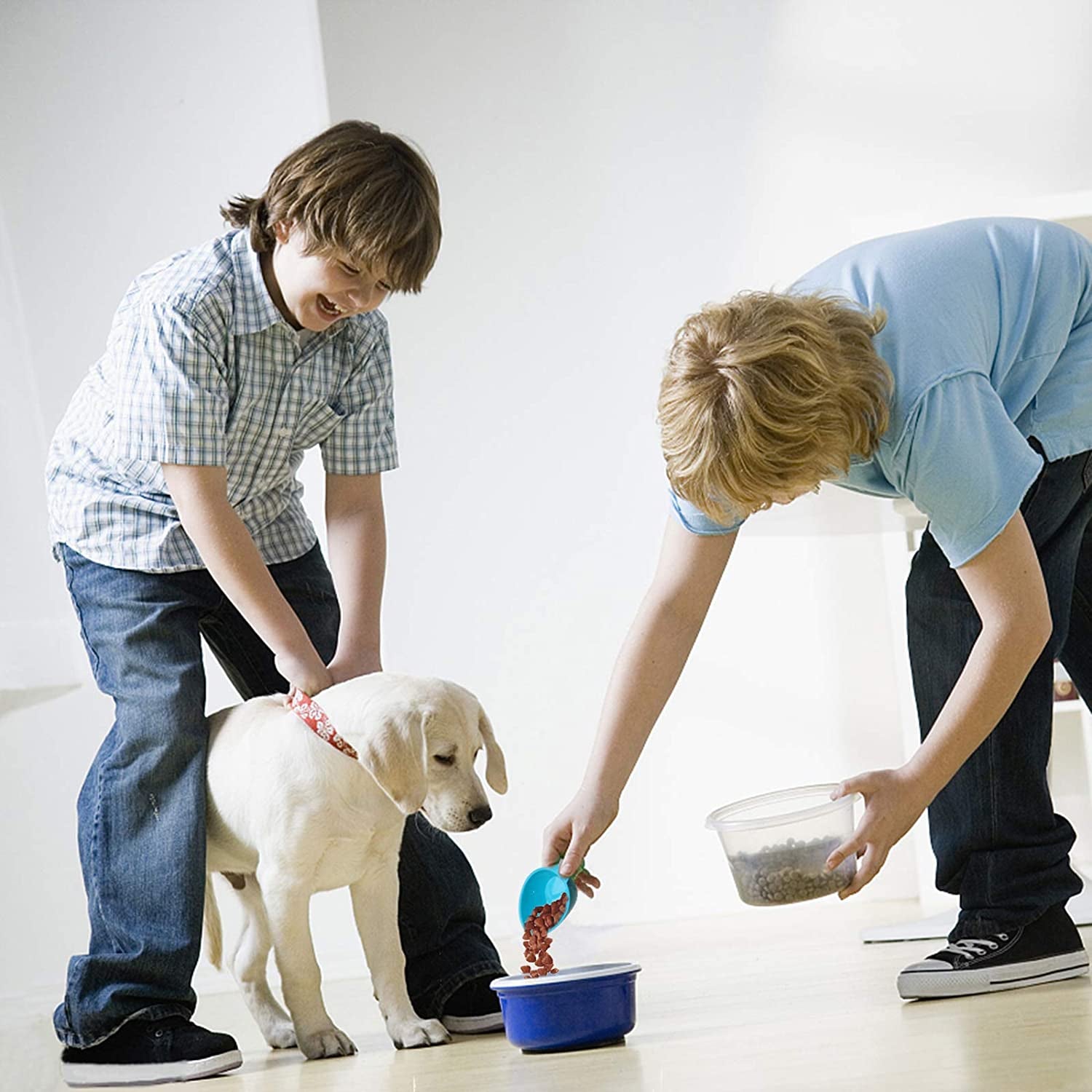 Dog Food Scoop Set of 4 - Plastic Measuring Cups for Dog, Cat and Bird Food (Random Color).