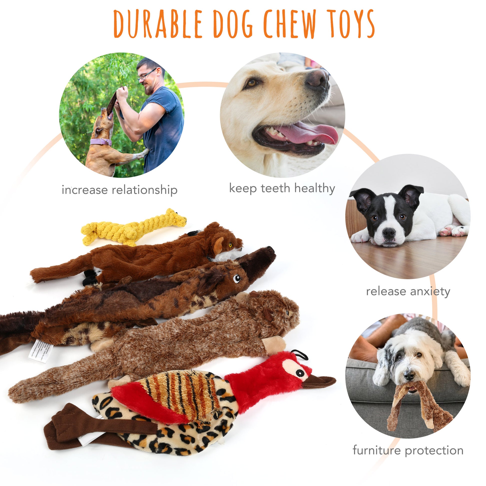 5 Dog Squeaky Toys for Small Dog, No Stuffing.