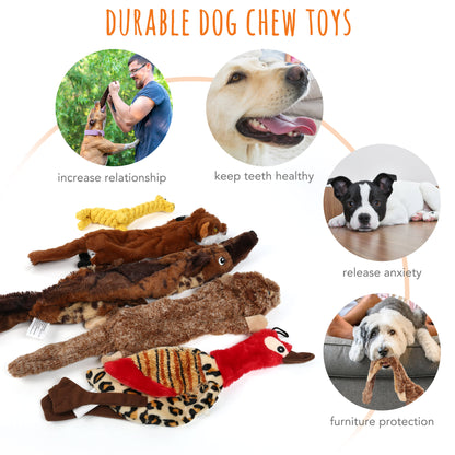 5 Dog Squeaky Toys for Small Dog, No Stuffing.