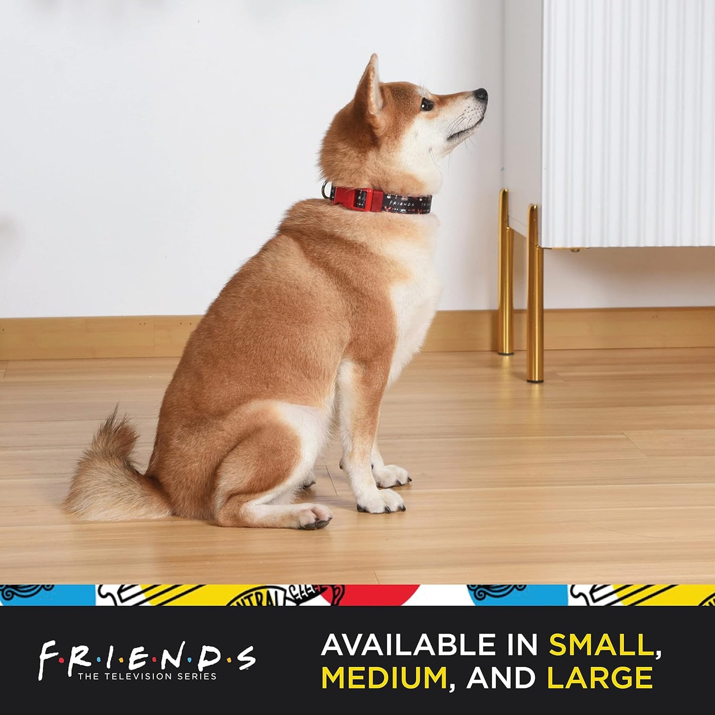 Friends Merch: Iconic TV Show Dog Collar, Black with D-Ring for Medium Dogs.