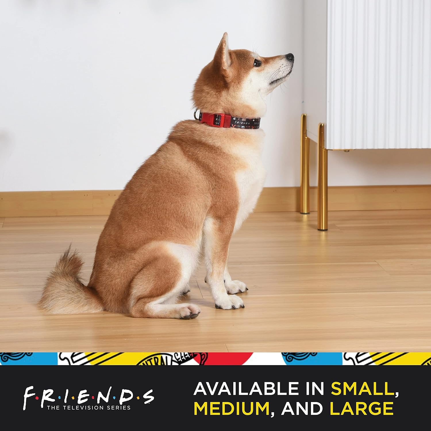 Friends Merch: Iconic TV Show Dog Collar, Black with D-Ring for Medium Dogs.
