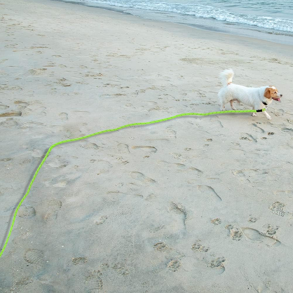 Floating Long Dog Leash, 32Ft Dog Training Leash for Swimming and Lake, Reflective Long Rope Lead with Soft Handle for Outside, Yard, Camping, Hiking and Beach (Green).