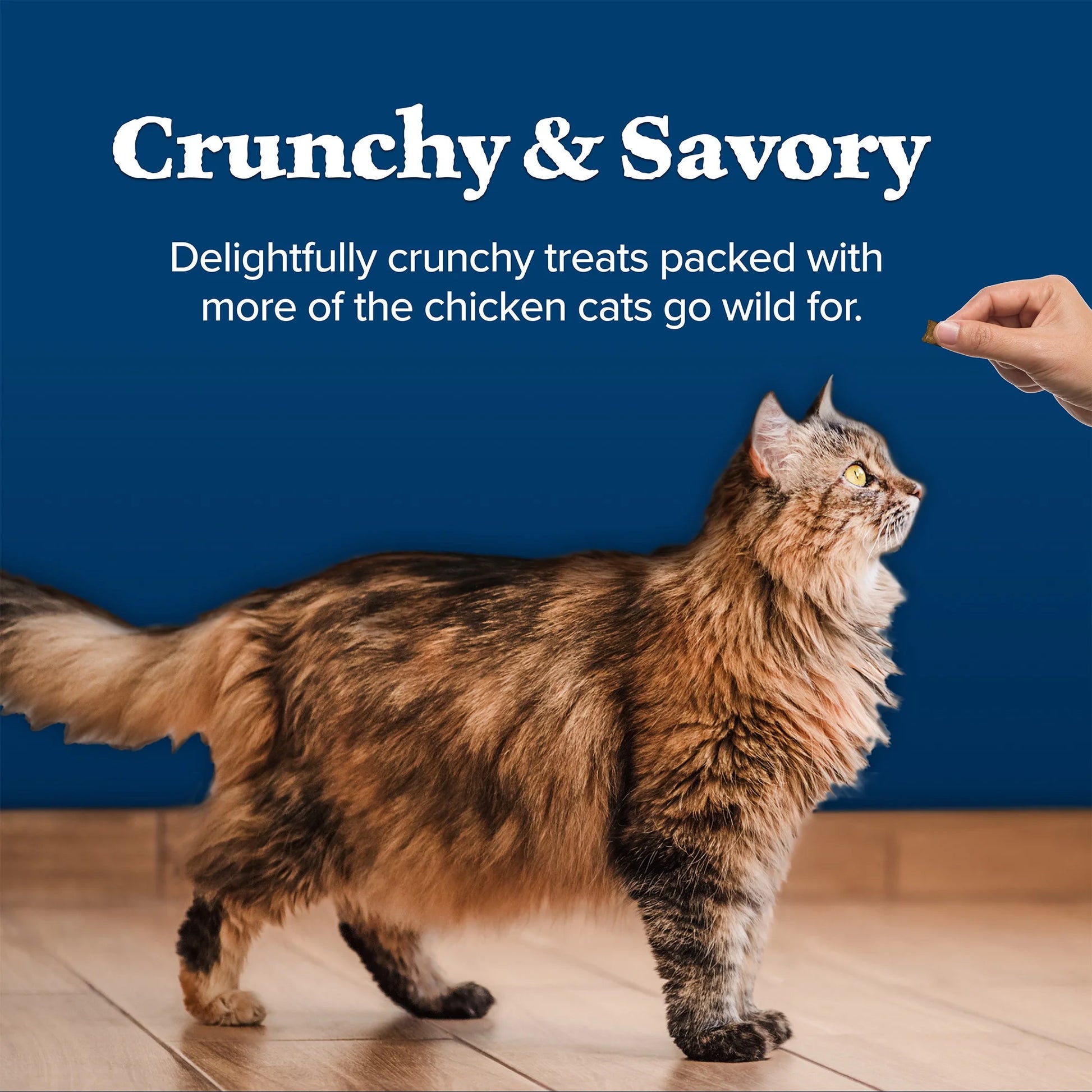 Wilderness Crunchy Dry Cat Treats, Natural & Grain-Free, Chicken, 12-Oz. Tub.