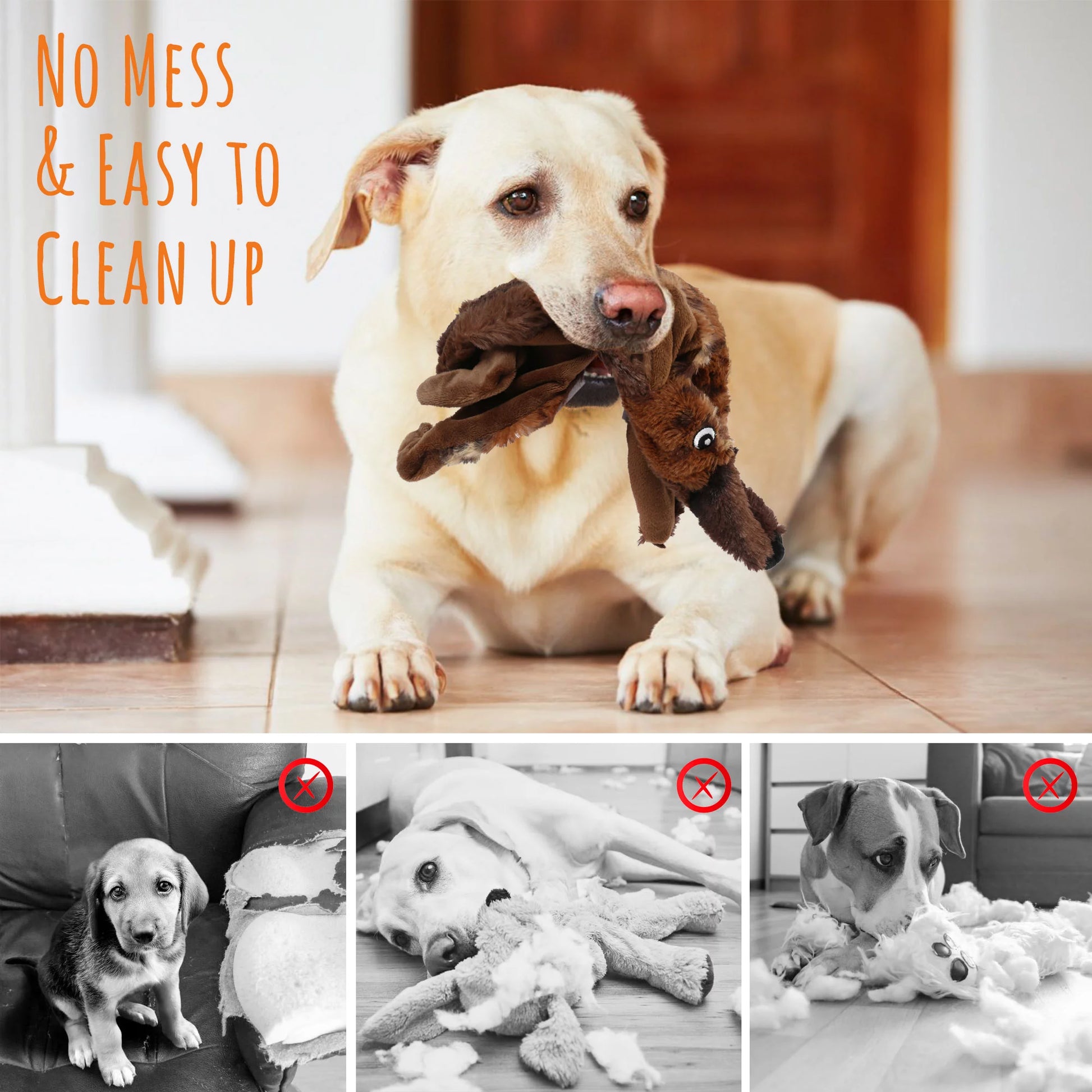 5 Dog Squeaky Toys for Small Dog, No Stuffing.