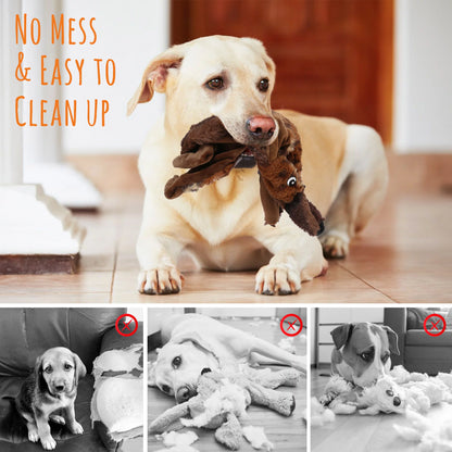 5 Dog Squeaky Toys for Small Dog, No Stuffing.