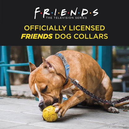 Friends Merch: Iconic TV Show Dog Collar, Black with D-Ring for Medium Dogs.