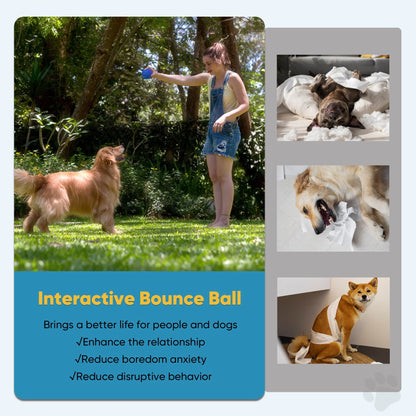 Interactive Toy Dog Ball, Active Rolling Ball for Dogs with Flashing LED Light, Moving Bouncing Toys Ball for Medium or Large Dogs, USB Rechargeable, Blue.