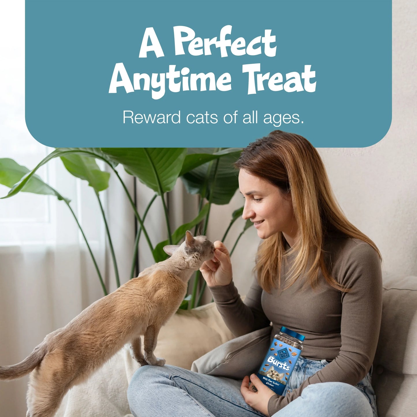 Bursts Crunchy & Creamy Cat Treats, Great for Training, Seafood, 12-Oz. Tub.